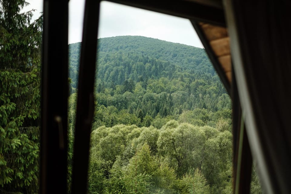 Mountain view