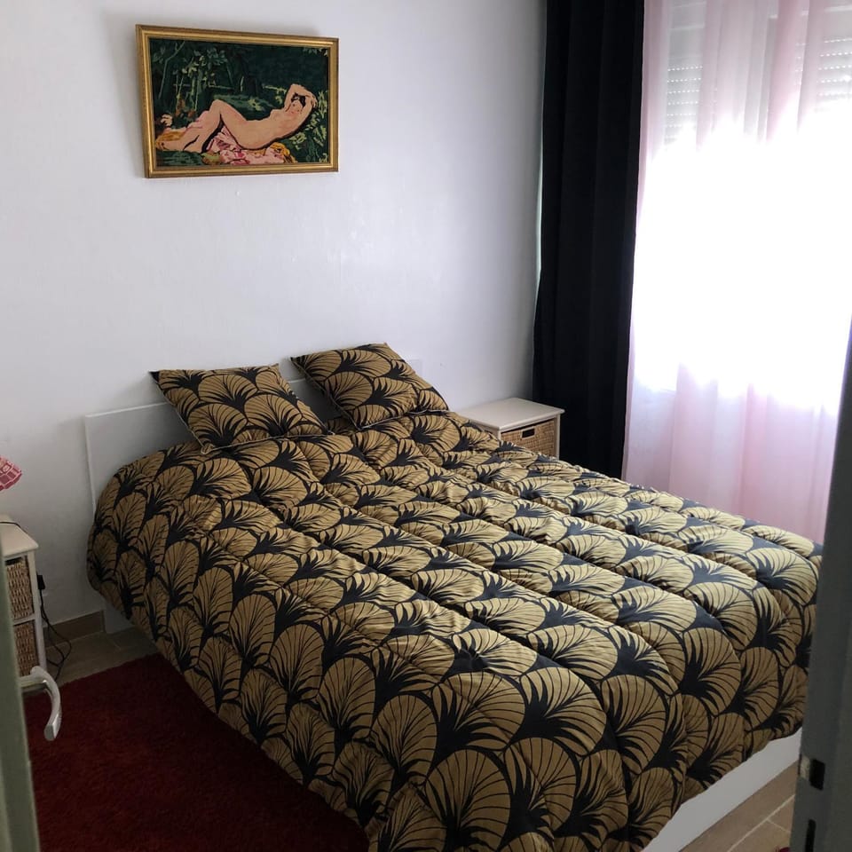 T3 Centre Ville Neuve Apartment in Occitanie