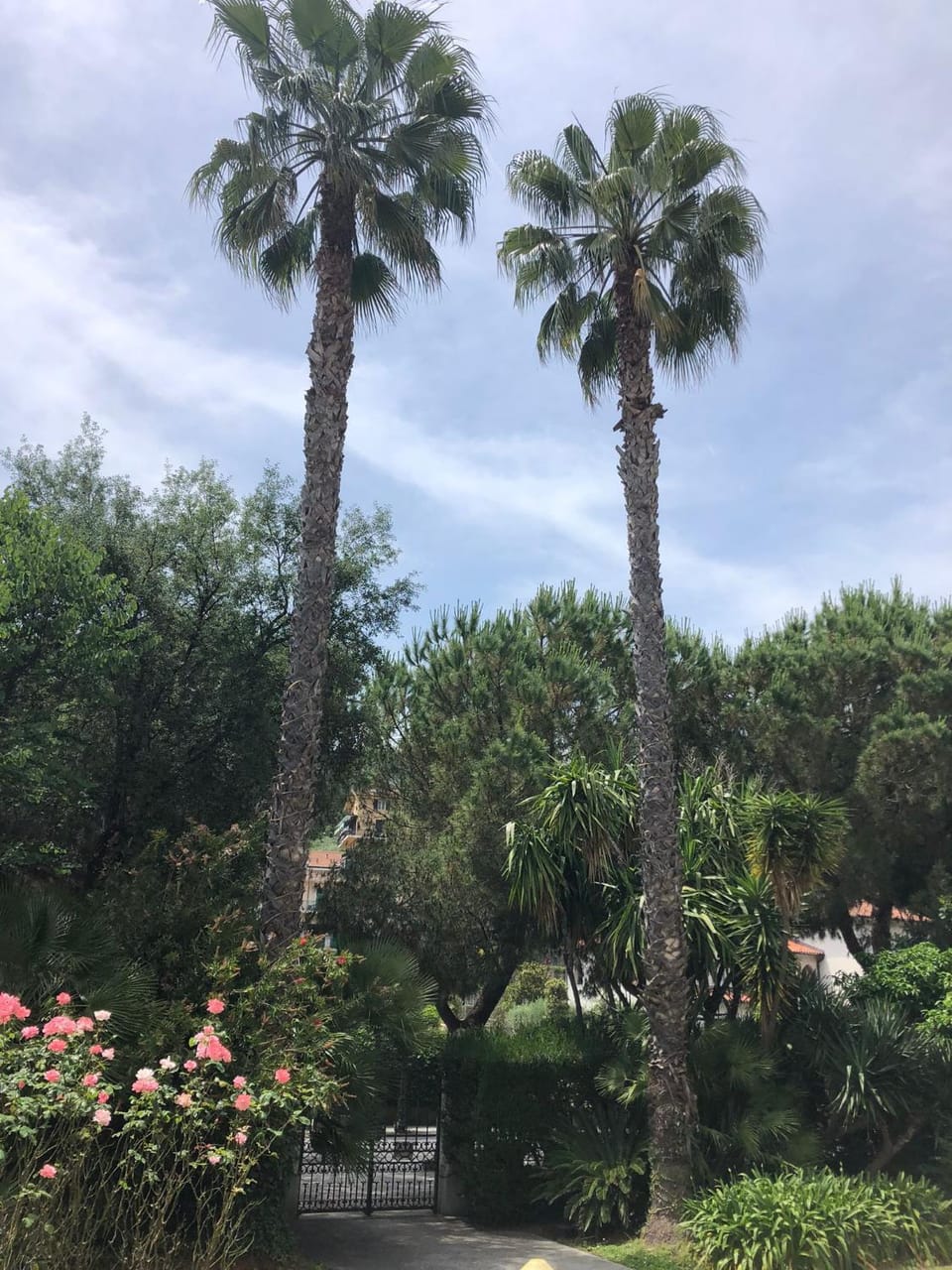 Natural landscape, Garden, Garden view
