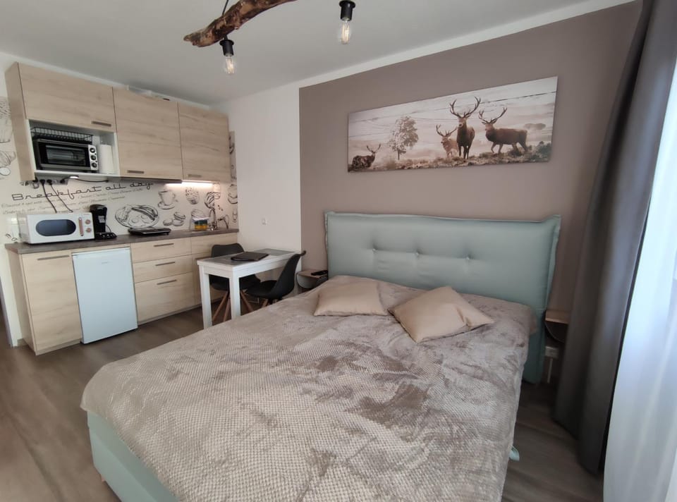Bed, Kitchen or kitchenette, Photo of the whole room