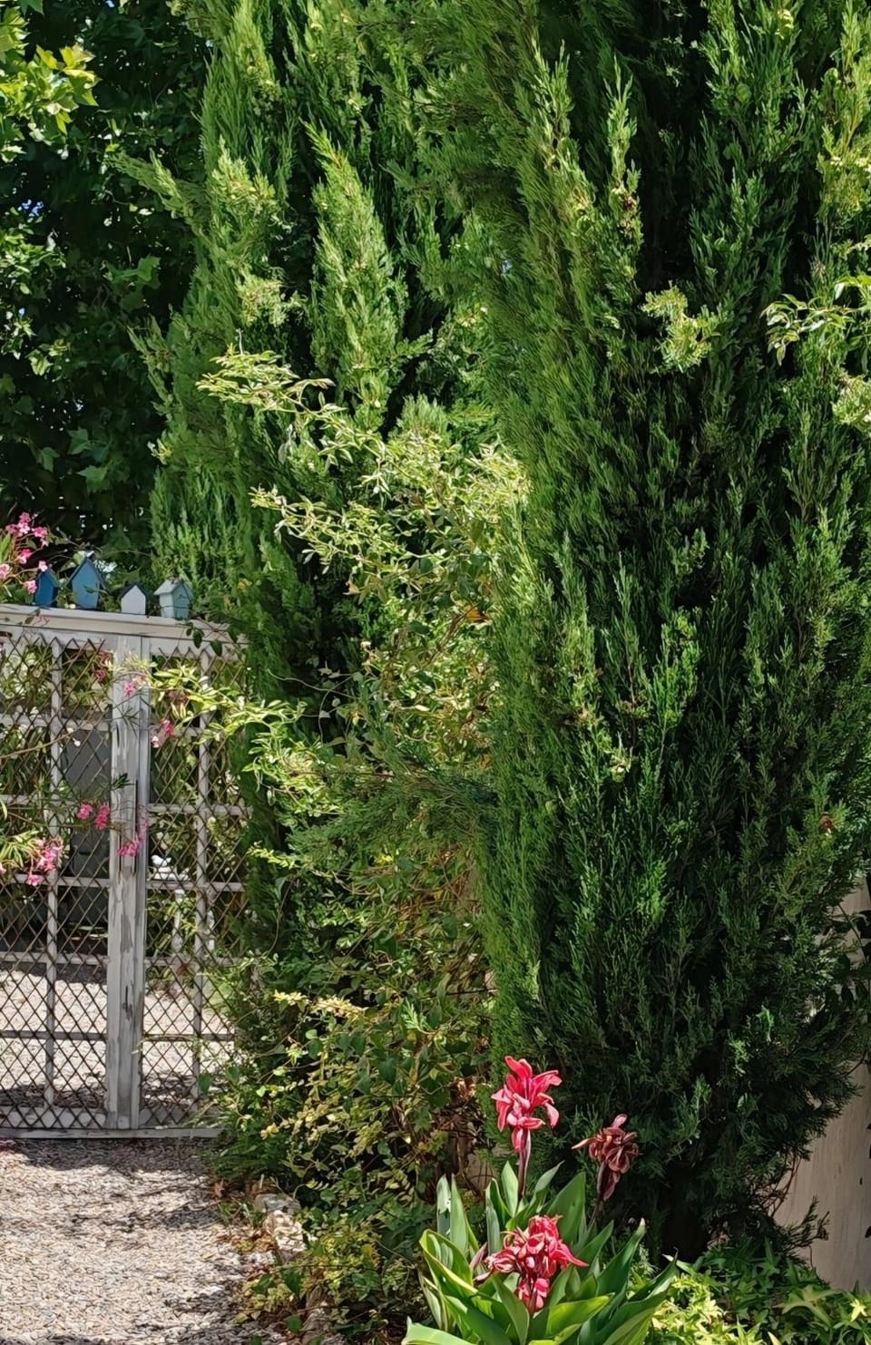 LE PETIT JARDIN ... Bed and Breakfast in L'Isle-sur-la-Sorgue