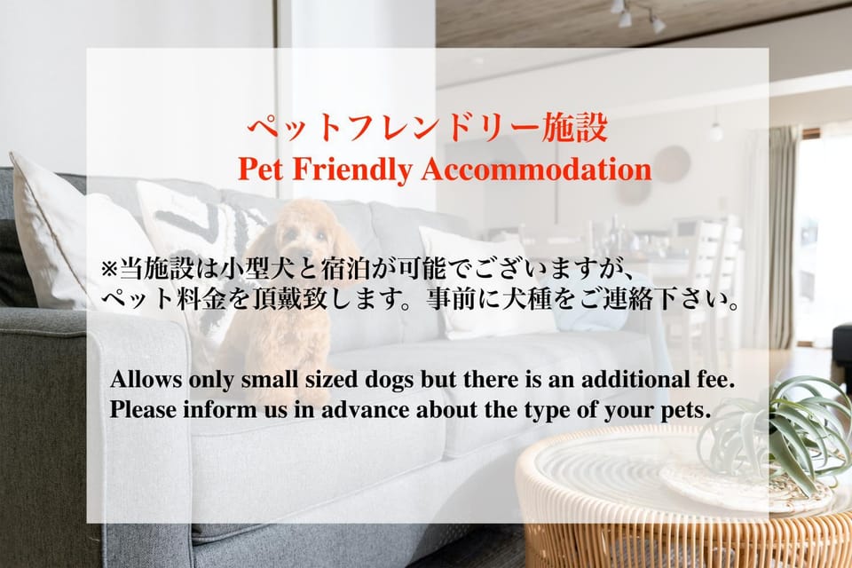 Animals, Text overlay