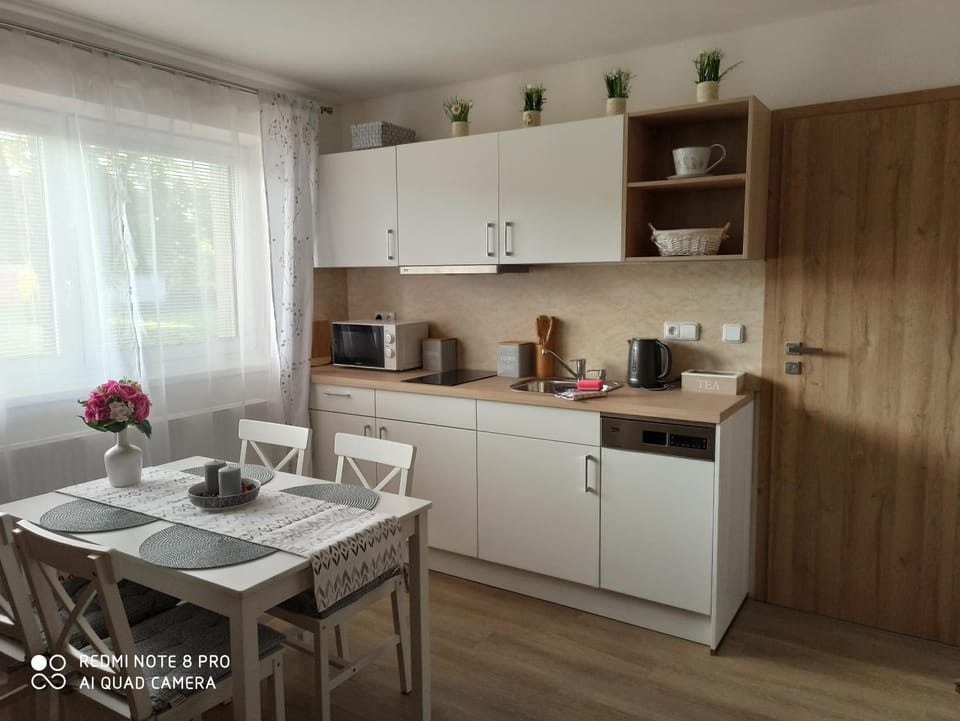Coffee/tea facilities, Kitchen or kitchenette, dishwasher, minibar, stove, toaster