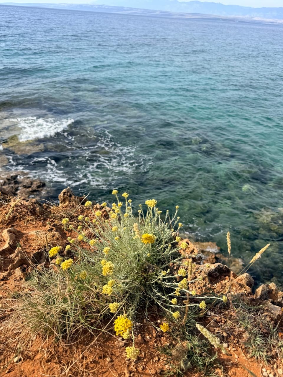 Apartmani Divkovic Apartment in Zadar County