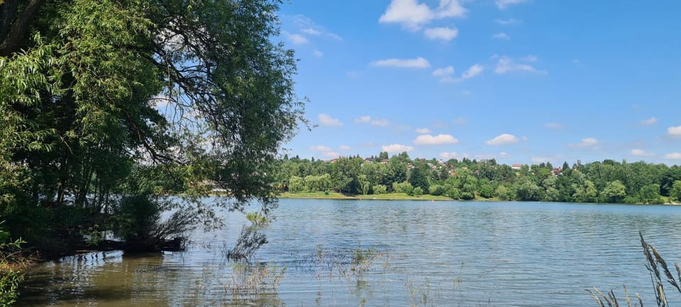 Lake view