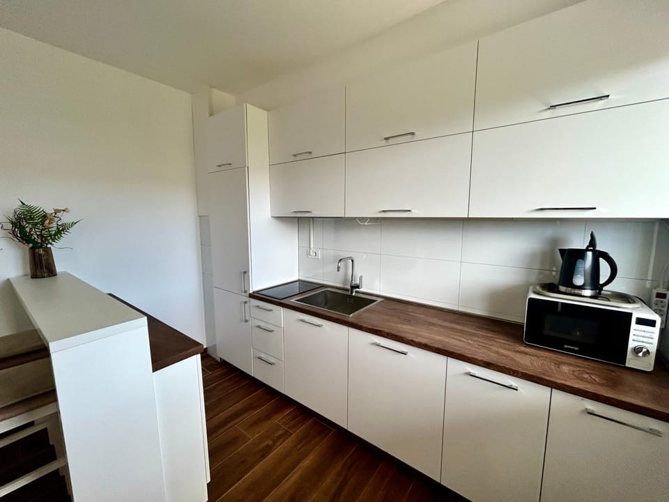 Kitchen or kitchenette, dishwasher, microwave, stove