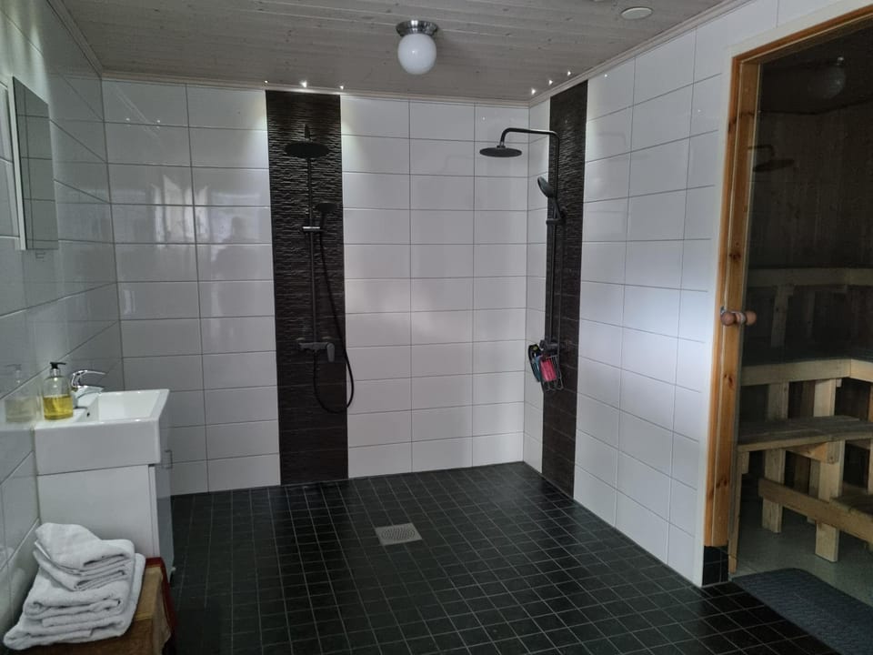 Sydåbacka Guest House, a Room with a Sauna Apartment in Uusimaa