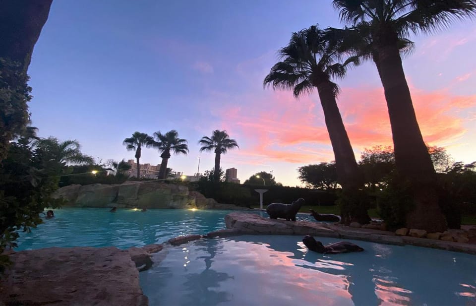 Swimming pool