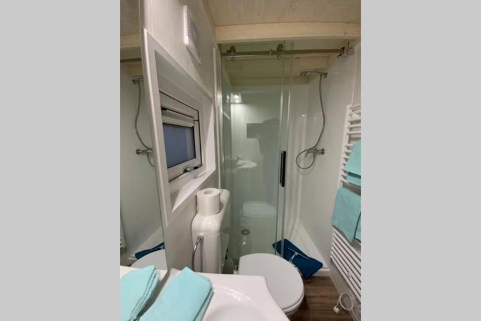 Shower, Toilet, Bathroom, towels
