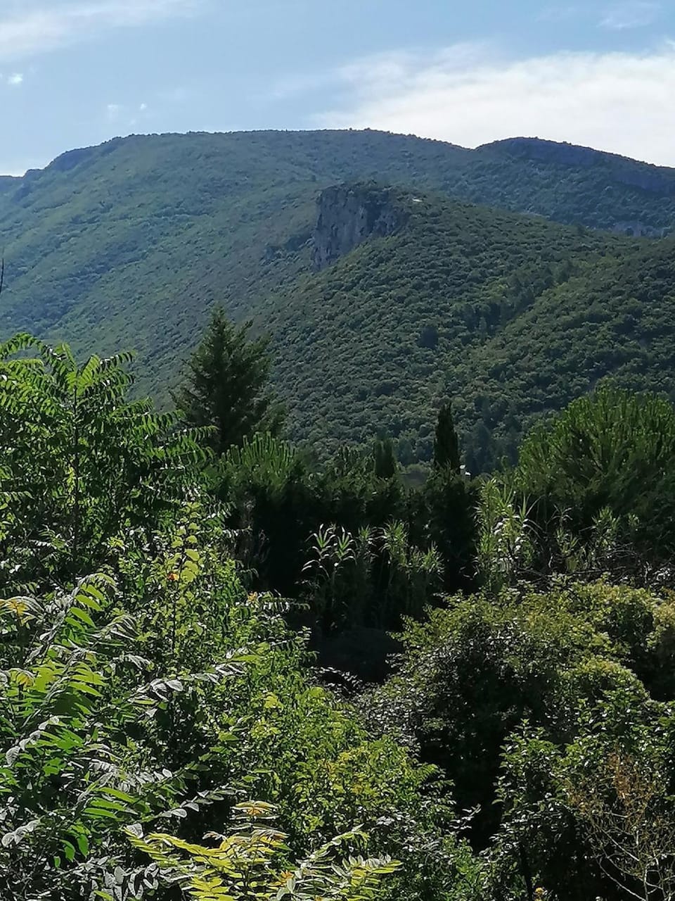 Natural landscape, acessibility