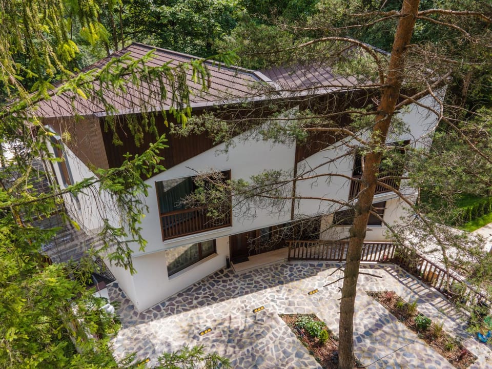 Property building, Day, Bird's eye view, Garden, Garden view