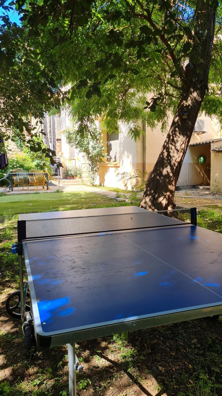 Table tennis, Table tennis