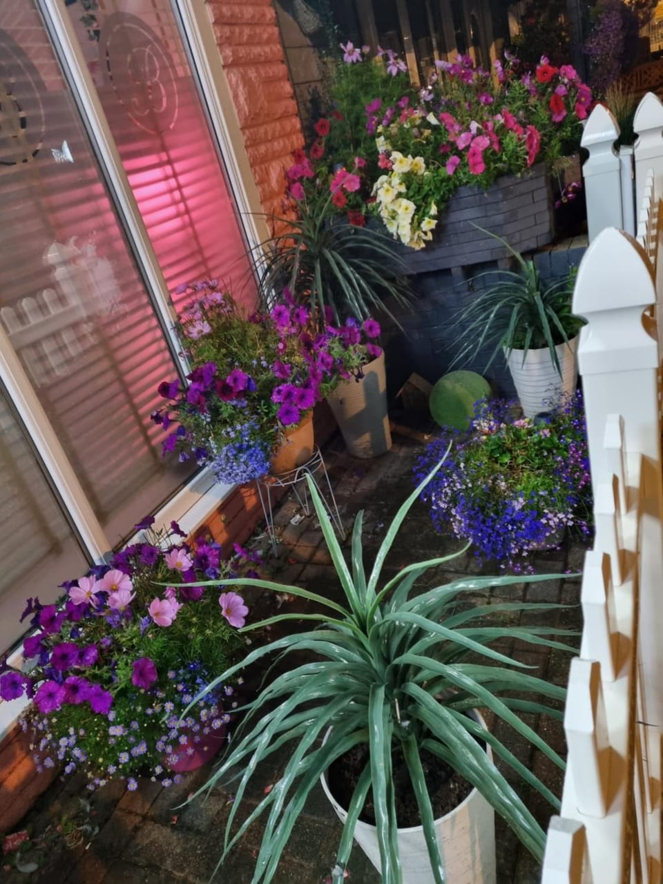 Garden, Garden view