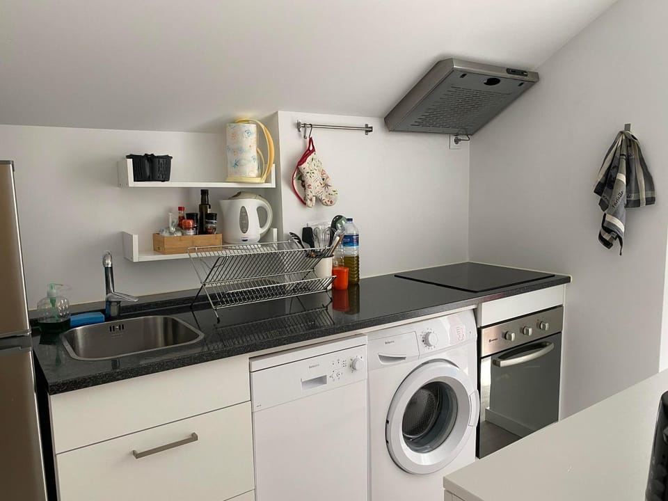 Coffee/tea facilities, Balcony/Terrace, dishwasher, stove, toaster, washing machine, kitchen
