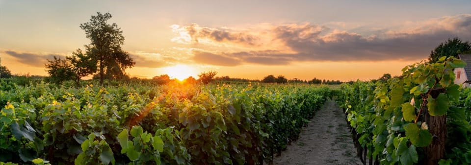 Natural landscape, Sunrise, Sunset