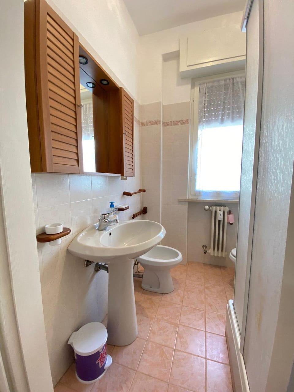 Vesna Apartment Apartment in Desenzano del Garda