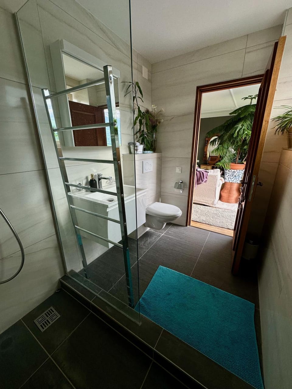 Shower, Toilet, Bathroom, Photo of the whole room