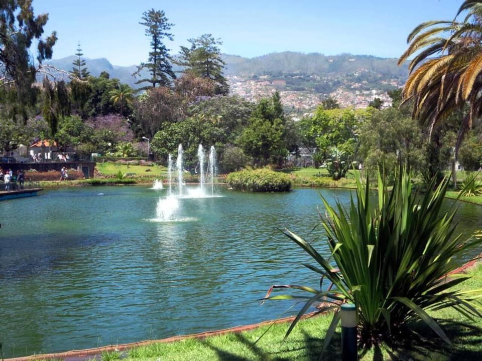 Comfortable 2-Bedroom Apartment for Relaxing Stays Apartment in Funchal