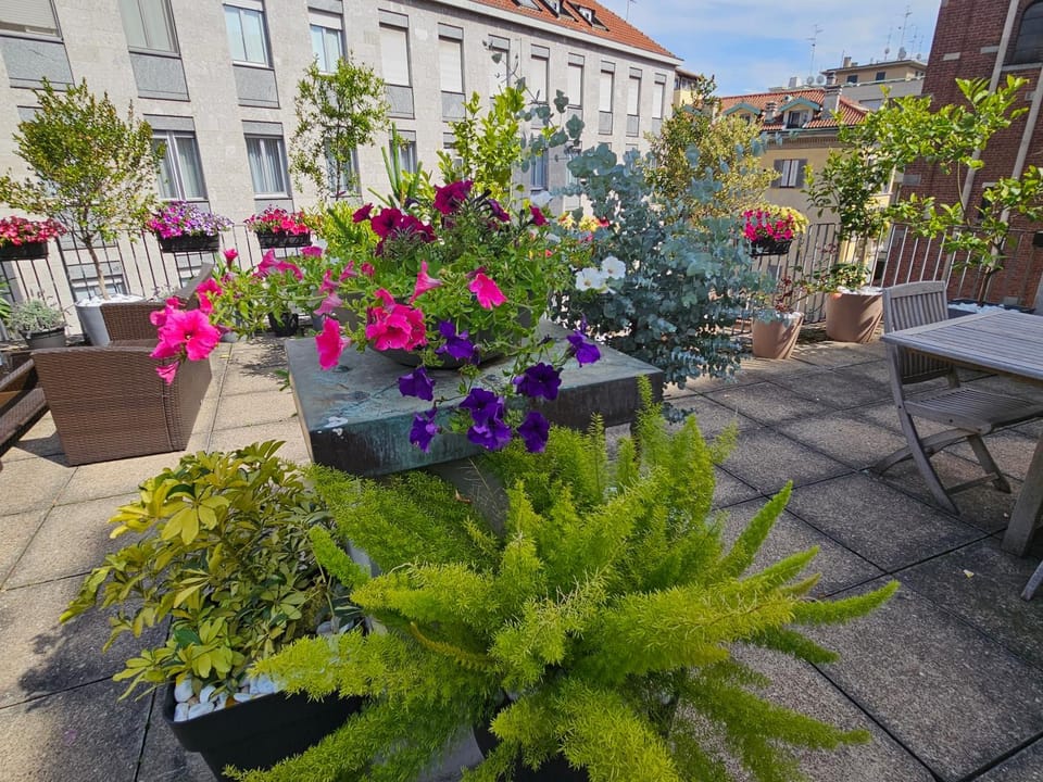 Garden, Garden view
