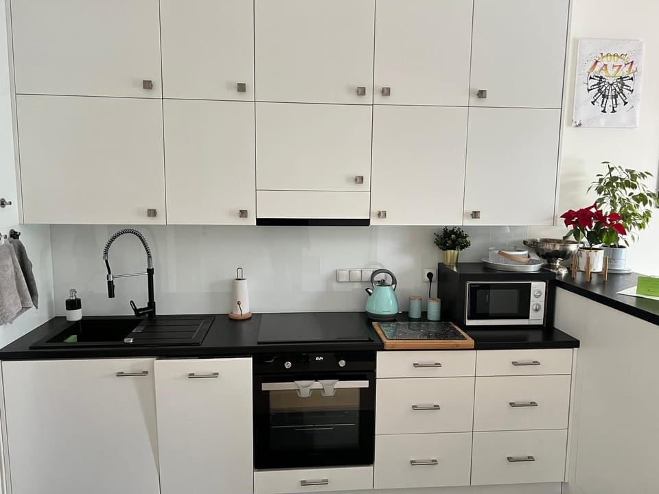 Kitchen or kitchenette, dishwasher