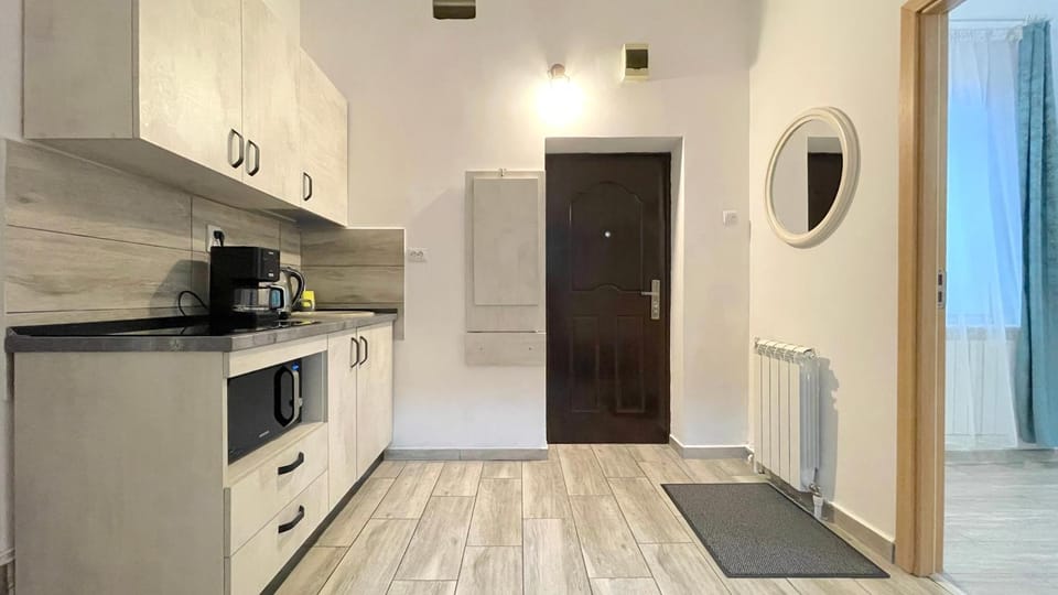 EVU Long Street Apartment in Brasov