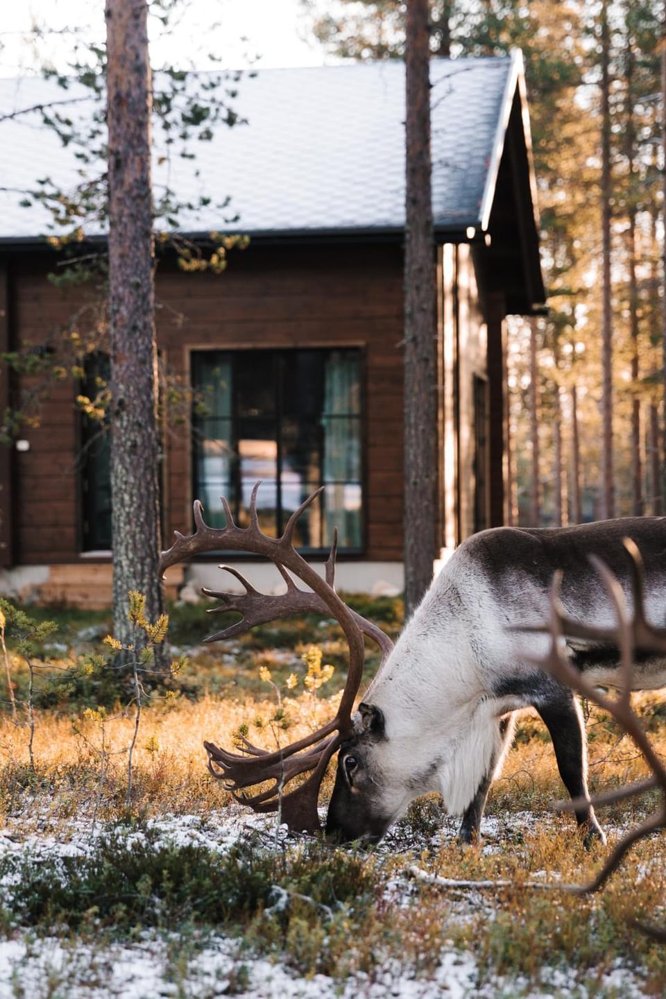 Raanakka House - Premium Villa at Levi Villa in Lapland