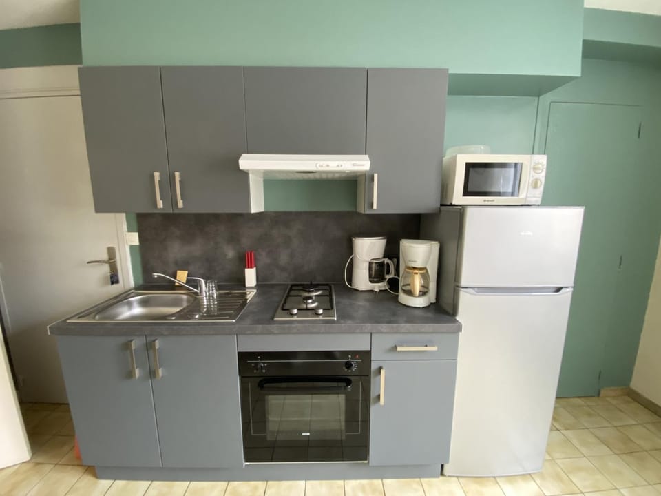 Appartement moderne T2 avec Wi-Fi en centre-ville, à proximité des Thermes de La Roche-Posay - FR-1-541-78 Apartment in Nouvelle-Aquitaine