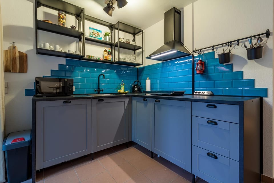 Kitchen or kitchenette, dishwasher, pet friendly, stove