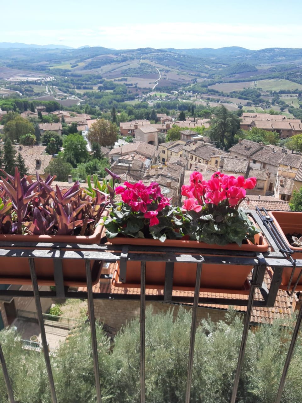 City view