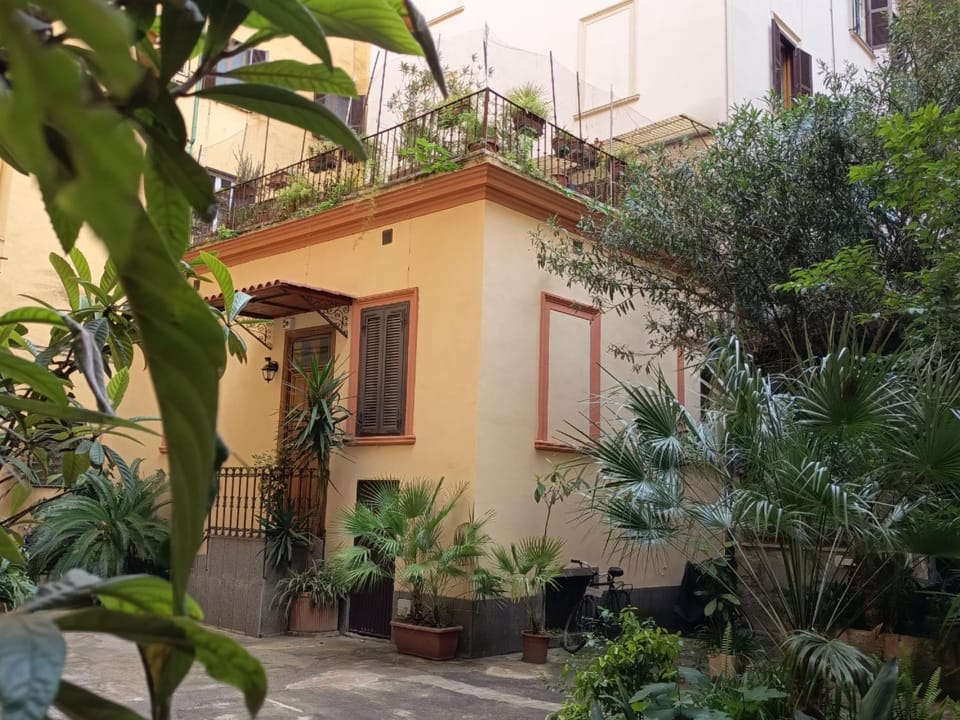 Day, Garden, Garden view