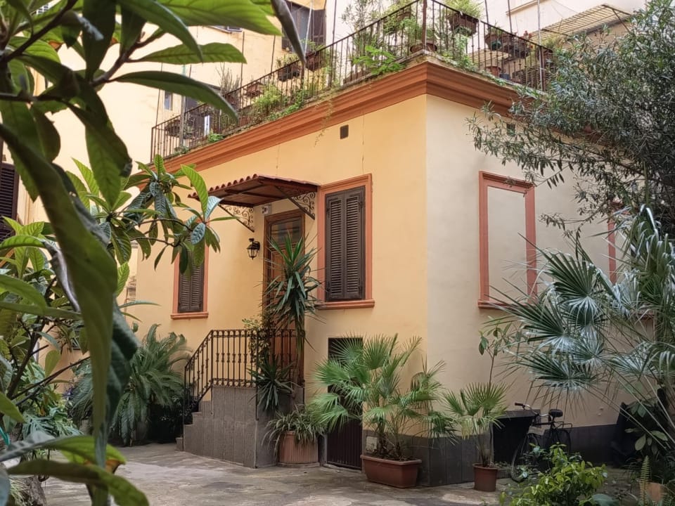 Day, Garden view