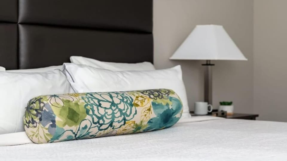 Bold CozySuites with gym, roof #7 Apartment in Dallas