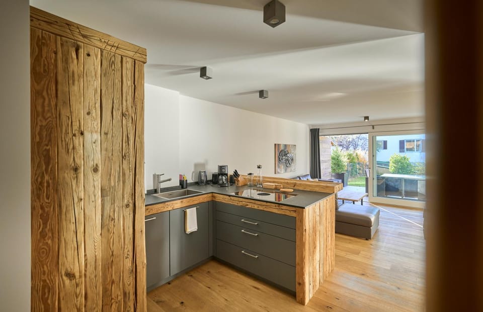 Kitchen or kitchenette, stove, kitchen