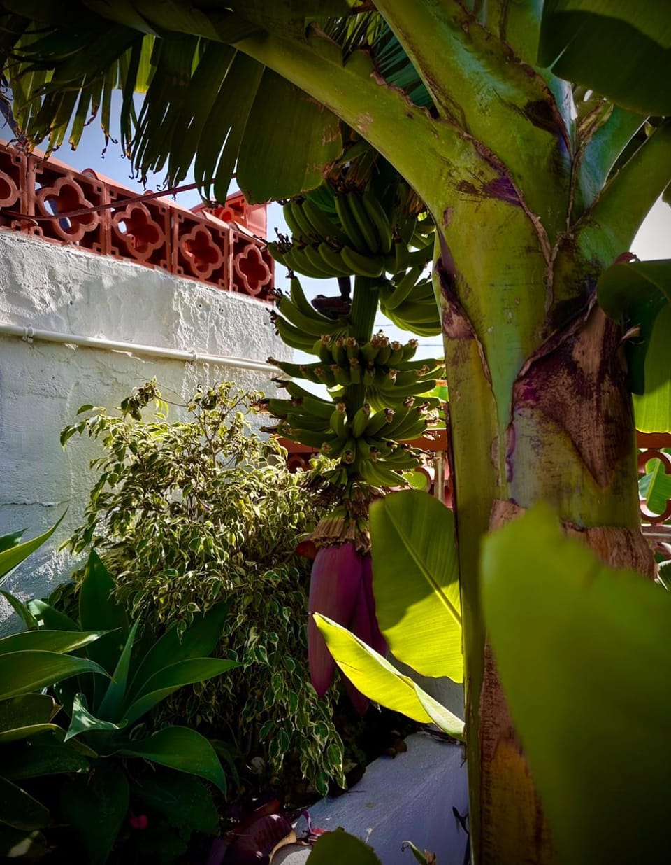 Casa Cucú House in La Palma