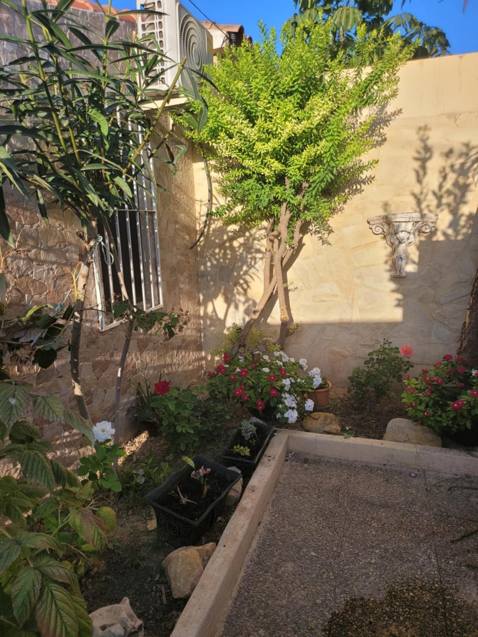 La casa de Irina Bed and Breakfast in Marina Baixa
