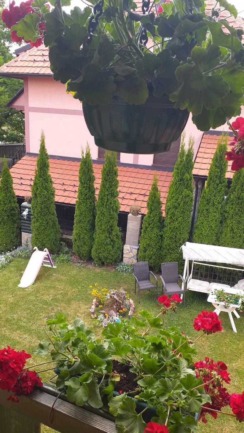 Vila Bliznakinja B Apartment in Zlatibor