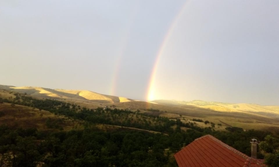 Vila Bliznakinja B Apartment in Zlatibor