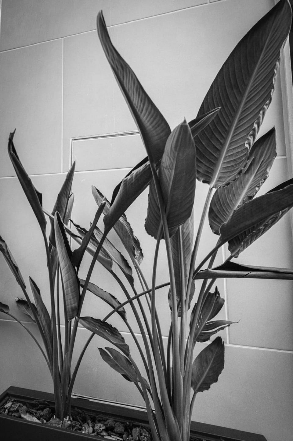 Run House 07 Rooms & Apartments Bed and Breakfast in Basilicata
