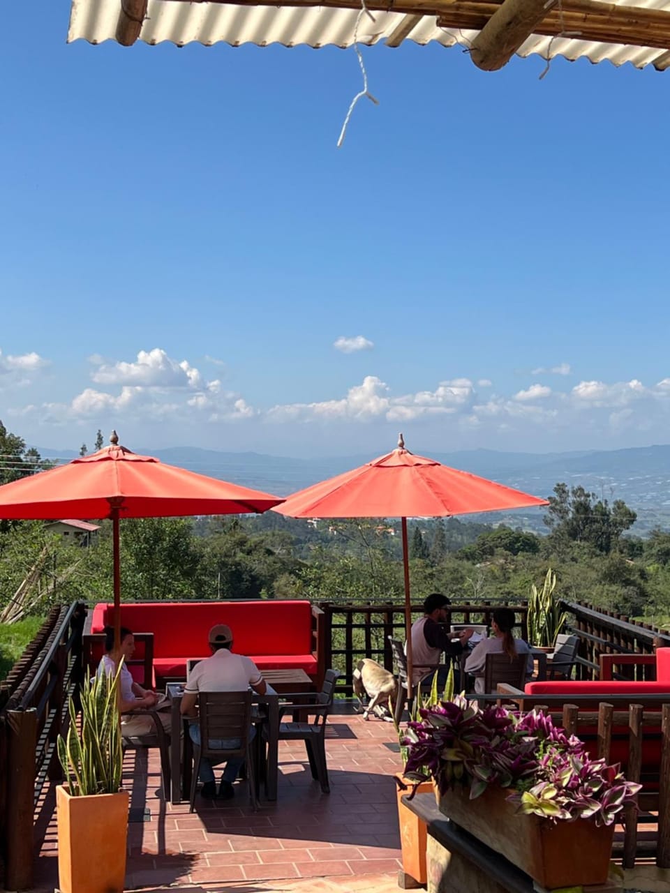 MALOKAS AGUA VIDA & NATURALEZA Luxury tent in Boyaca