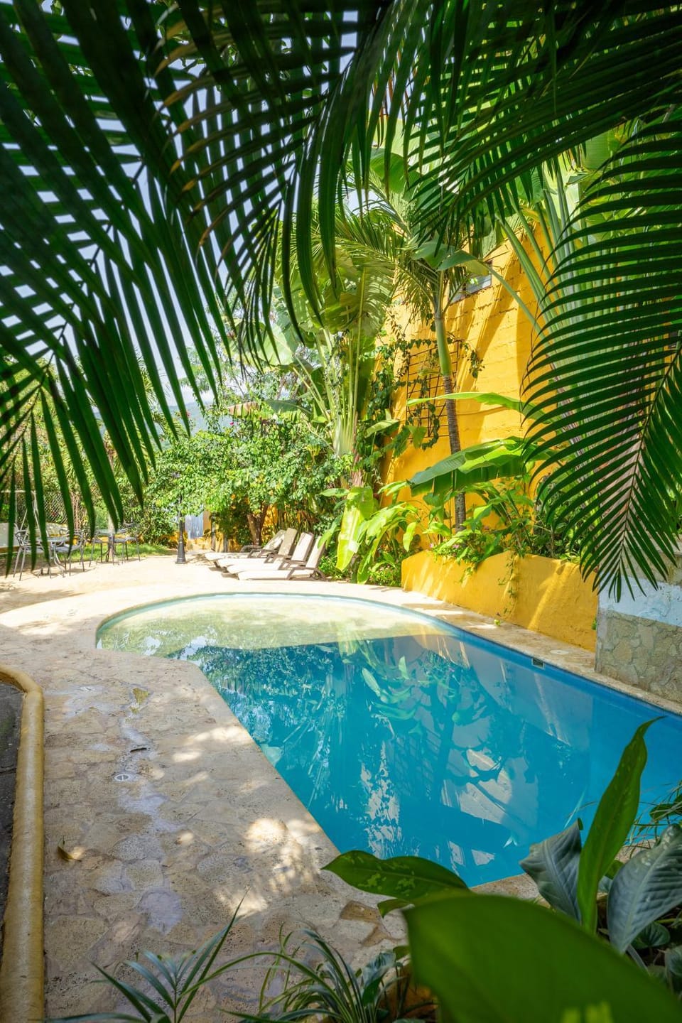 Day, Garden, Garden view, Pool view, Swimming pool