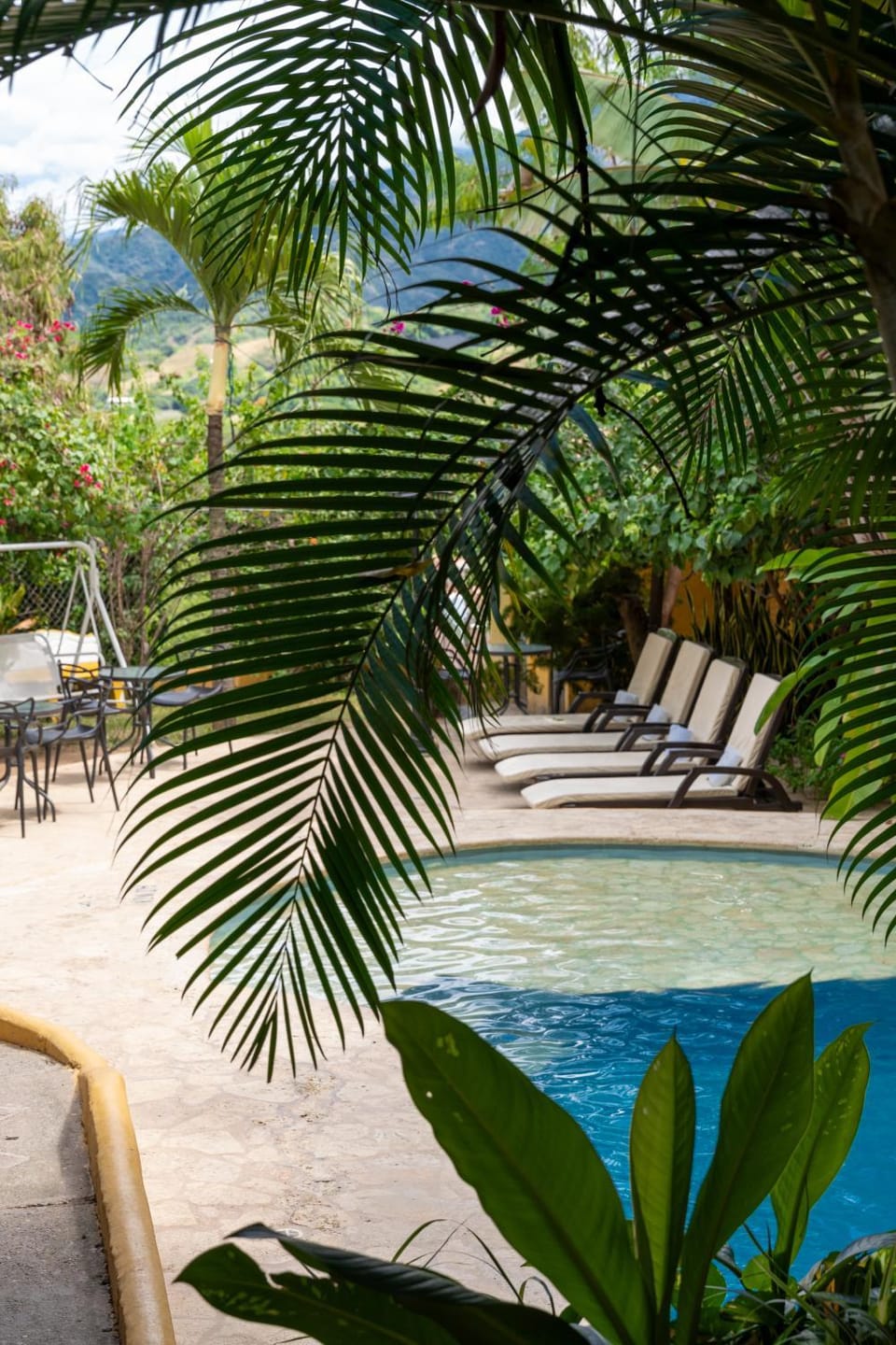 Spring, Day, Natural landscape, Garden, Garden view, Swimming pool, sunbed