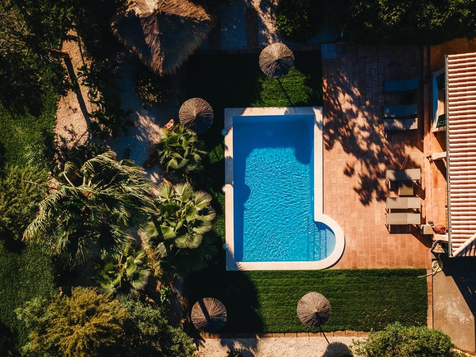 Garden, Swimming pool, sunbed