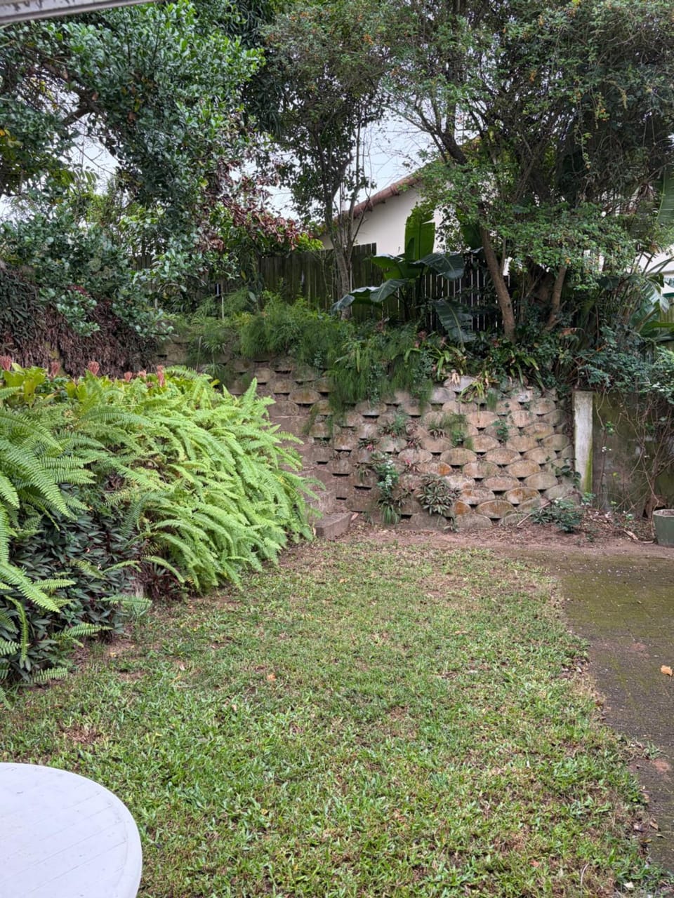 Garden view