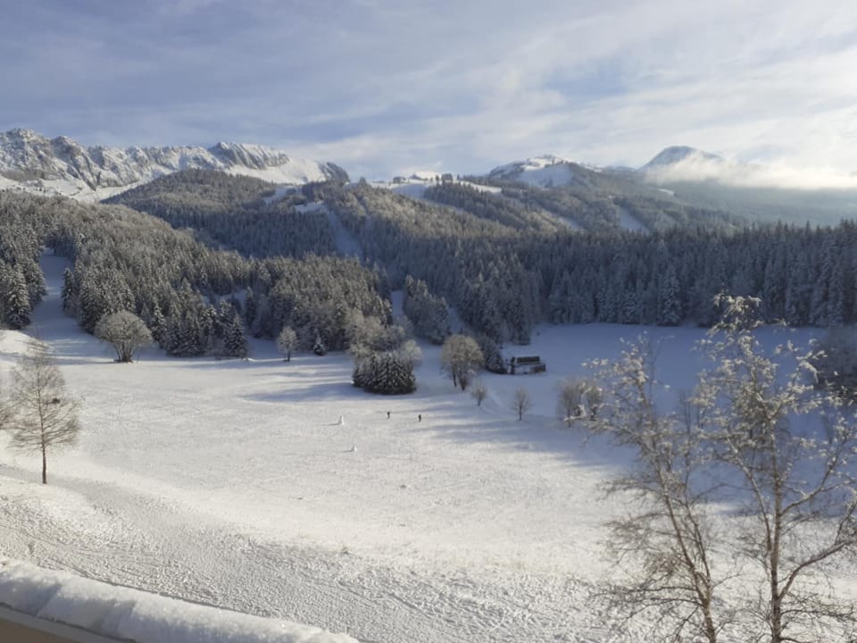 Natural landscape