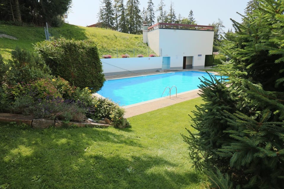 Garden, Swimming pool, Swimming pool