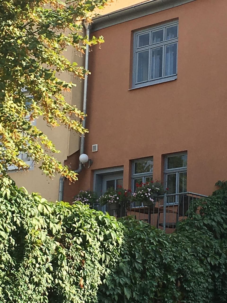 Property building, Patio