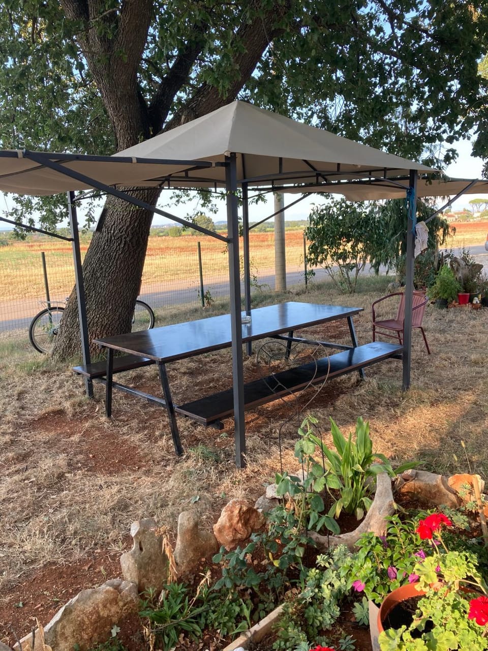 Patio, Garden