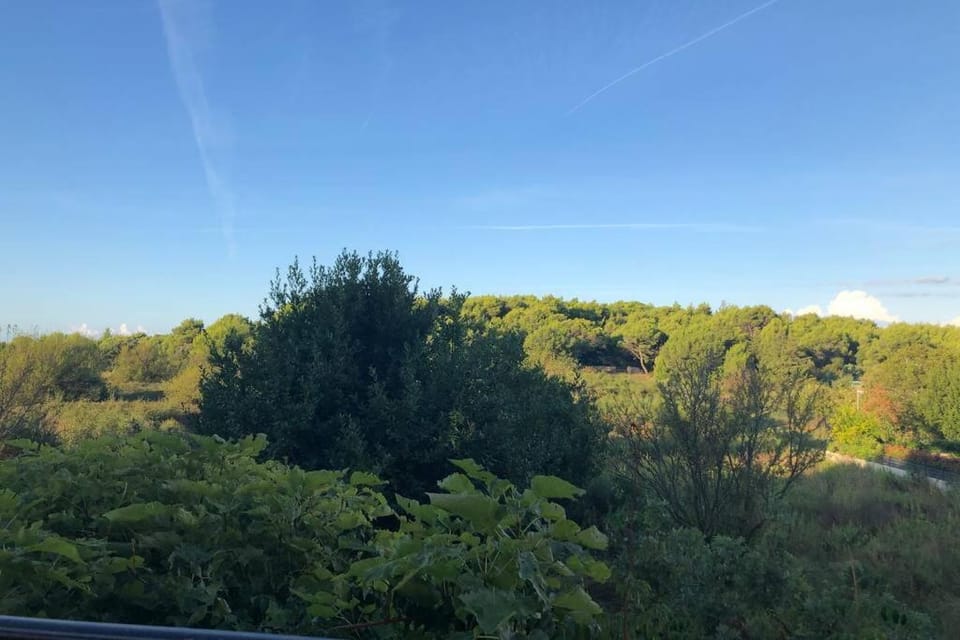 Natural landscape, Garden view