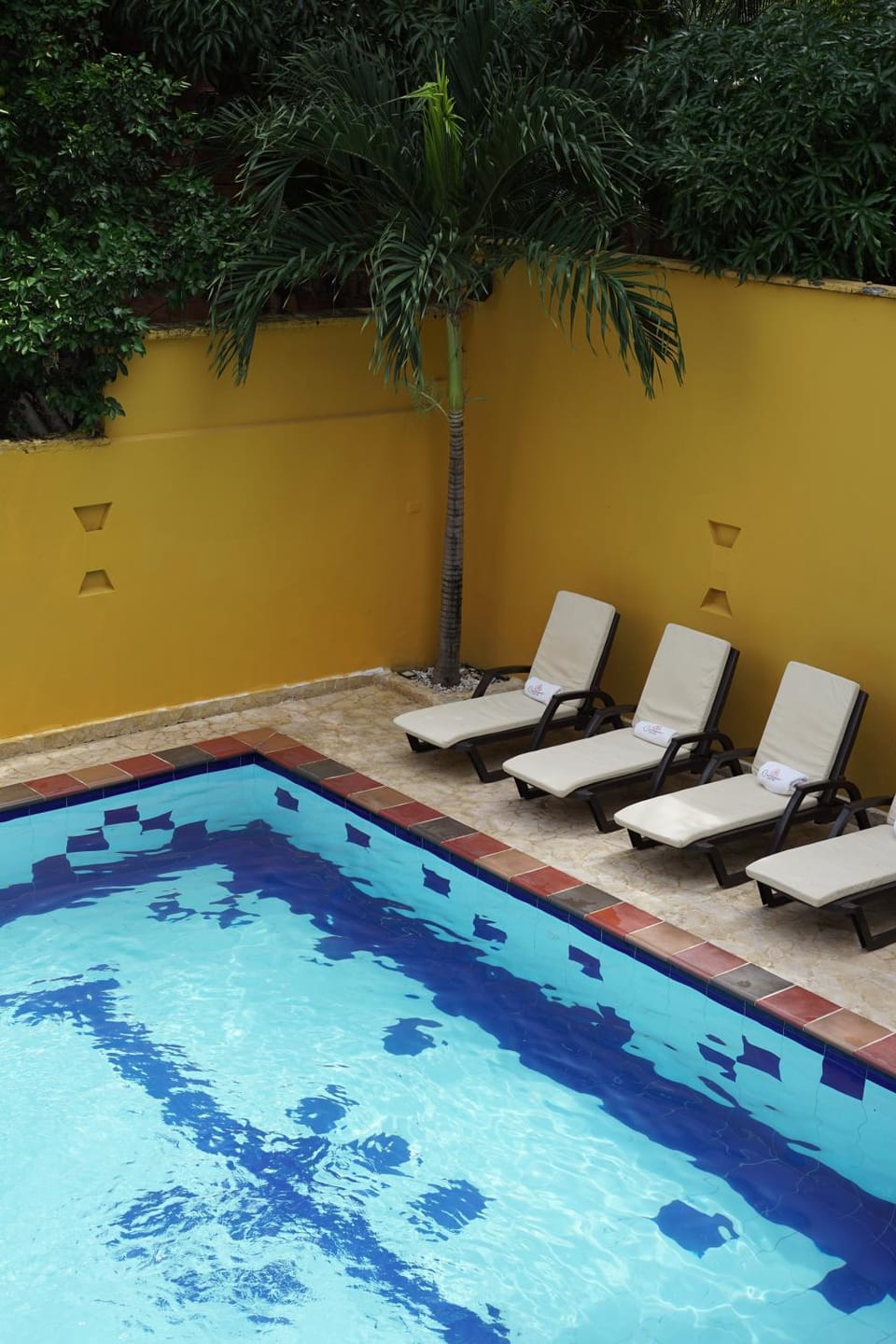 Day, Pool view, Swimming pool, sunbed