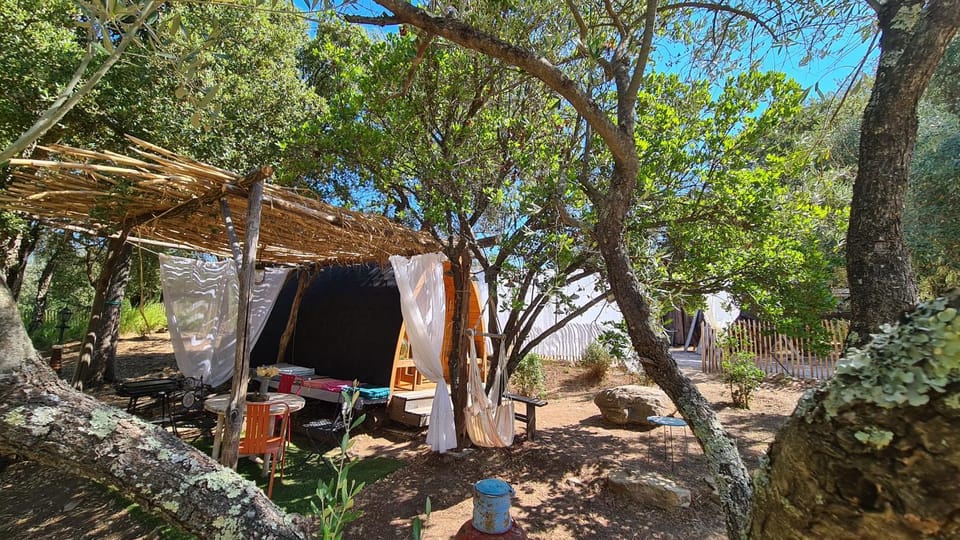 Gîte atypique Le Pod au coeur du maquis Nature lodge in Corsica